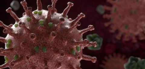 Pandemia pelo Corona Vírus e Vazamentos de Água